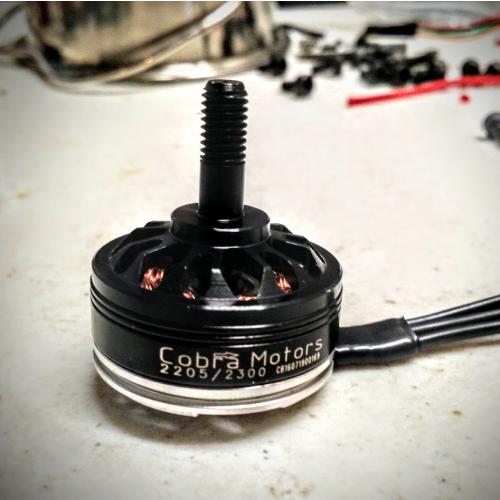 Cobra Champion 2205 2300kv