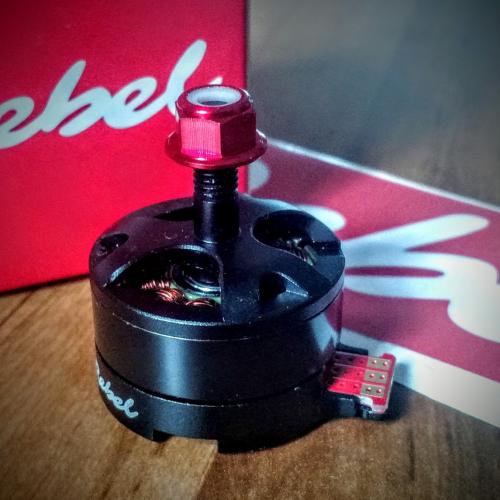 Rebel Pro 2206(6.5) 2300kv